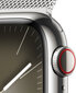 Apple Watch Series 9 41mm Silver Stainless Steel/Silver Milanese Loop цена и информация | Viedpulksteņi (smartwatch) | 220.lv