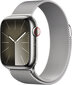 Apple Watch Series 9 41mm Silver Stainless Steel/Silver Milanese Loop цена и информация | Viedpulksteņi (smartwatch) | 220.lv