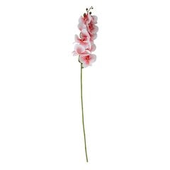 Mākslīgais zieds FLOWERLY H96cm, magnolija, mix cena un informācija | Mākslīgie ziedi | 220.lv