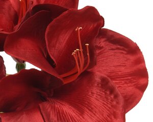 Mākslīgais zieds Amarillo cena un informācija | Mākslīgie ziedi | 220.lv