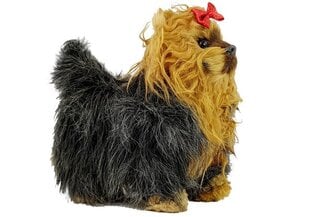 Internaktīvs suns Jorkšīras terjers cena un informācija | Mīkstās (plīša) rotaļlietas | 220.lv
