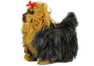 Internaktīvs suns Jorkšīras terjers cena un informācija | Mīkstās (plīša) rotaļlietas | 220.lv