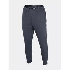 Спортивные штаны для мужчин Outhorn M OTHAW22TTROM02431S, серые цена и информация | Мужская спортивная одежда | 220.lv