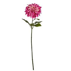 Декоративный цветок Георгин Фуксия 16 x 74 x 16 cm (6 штук) цена и информация | Искусственные цветы | 220.lv