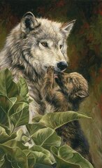Алмазная мозаика волк с детенышем 40х60 см. цена и информация | Алмазная мозаика | 220.lv