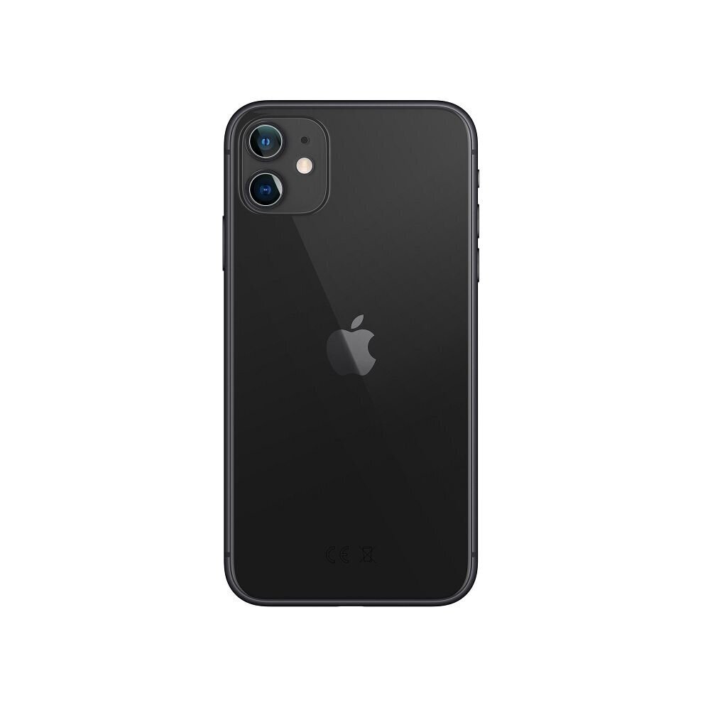 OEM Apple iPhone 11 cena un informācija | Ekrāna aizsargstikli | 220.lv