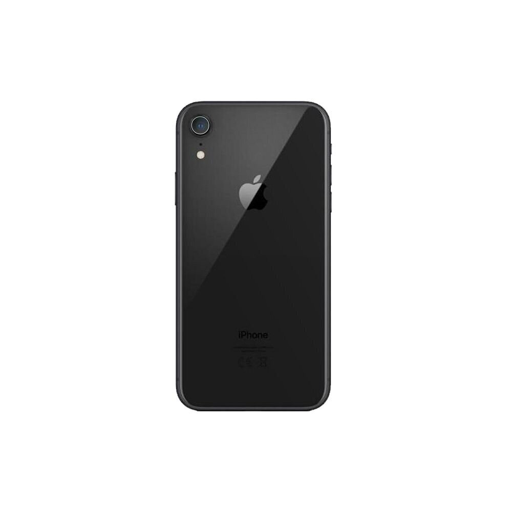 OEM Apple iPhone Xr cena un informācija | Ekrāna aizsargstikli | 220.lv