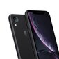 OEM Apple iPhone Xr cena un informācija | Ekrāna aizsargstikli | 220.lv