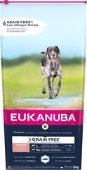 Eukanuba Senior lielu šķirņu suņiem ar zivīm, 12 kg cena un informācija | Sausā barība suņiem | 220.lv