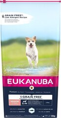 Eukanuba Senior mazo un vidējo šķirņu suņiem ar zivīm, 12 kg cena un informācija | Sausā barība suņiem | 220.lv