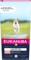 Eukanuba Senior mazo un vidējo šķirņu suņiem ar zivīm, 12 kg cena un informācija | Sausā barība suņiem | 220.lv