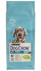 Purina Dog Chow suņiem ar tītaru, 14 kg cena un informācija | Sausā barība suņiem | 220.lv