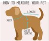 Lietusmētelis suņiem "Chester" цена и информация | Apģērbi suņiem | 220.lv
