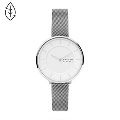 Sieviešu pulkstenis Skagen SKW3016 цена и информация | Женские часы | 220.lv