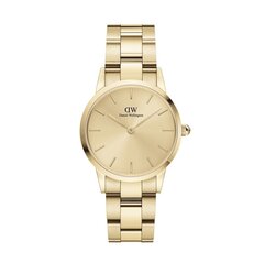 Pulkstenis sievietēm Daniel Wellington DW00100403 цена и информация | Женские часы | 220.lv