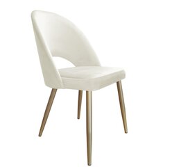 Velveta krēsls ēdamistabai, Decorates Tillo gold, 87x53 cm, Krēmkrāsains cena un informācija | Virtuves un ēdamistabas krēsli | 220.lv