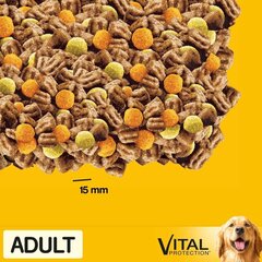 Pedigree Adult pieaugušiem suņiem, ar vistas gaļu un dārzeņiem, 3x2,6 kg цена и информация | Сухой корм для собак | 220.lv