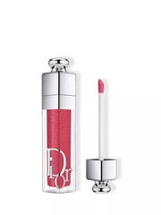 Lūpu spīdums Christian Dior Addict Lip Maximizer, 027 Intense Fig, 6 ml cena un informācija | Lūpu krāsas, balzāmi, spīdumi, vazelīns | 220.lv