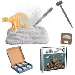 WOOPIE Набор для раскопок окаменелостей 6 в 1, динозавры цена и информация | Развивающие игрушки | 220.lv