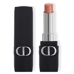 Ilgnoturīga lūpu krāsa Dior Rouge Dior Forever, 100 Forever Nude Look, 3.2 g cena un informācija | Lūpu krāsas, balzāmi, spīdumi, vazelīns | 220.lv