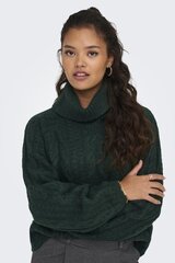 Džemperis JACQUELINE DE YONG 15302403SCARAB-XS cena un informācija | Sieviešu džemperi | 220.lv
