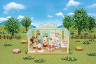 Figūriņu komplekts Sylvanian Families cena un informācija | Rotaļlietas zēniem | 220.lv