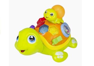 Interaktīvs bruņurupucis Hola, zaļš цена и информация | Игрушки для малышей | 220.lv