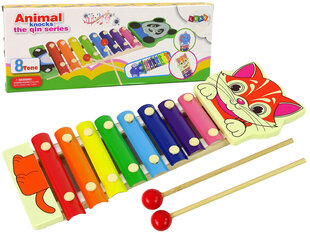 Krāsains ksilofons bērniem, 8 toņi cena un informācija | Attīstošās rotaļlietas | 220.lv