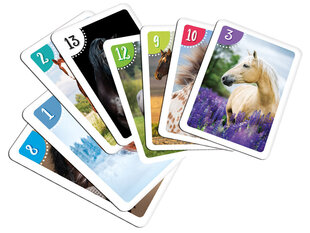 Набор карточек для карточной игры "Питер и память", лошади цена и информация | Развивающие игрушки | 220.lv