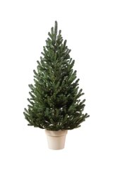 Рождественская елка в горшке "Vienna", серебряная 0,9m (diam. 0,5m) цена и информация | Искусственные елки | 220.lv
