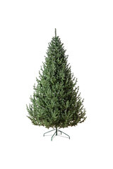 Рождественская елка "Vienne", зеленый 2,5m (diam. 1,65m) цена и информация | Искусственные елки | 220.lv