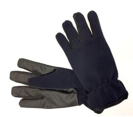 Детские перчатки от Hofler 181600 03, тёмно-синие, 181600*03-004 цена и информация | Шапки, перчатки, шарфы для мальчиков | 220.lv