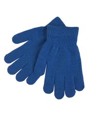 Детские перчатки Hofler MG86*06, синие, 6438150008654 цена и информация | Шапки, перчатки, шарфы для мальчиков | 220.lv