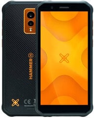 myPhone Hammer Energy X 4/64ГБ + Hammer Watch Plus + Hammer RapidCharge Duo цена и информация | Мобильные телефоны | 220.lv