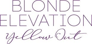 BLOND ELEVATION Yellow Out Bi-phaze - Двухфазный кондиционер, тонирующий для холодных оттенков, 200 мл цена и информация | Бальзамы, кондиционеры | 220.lv