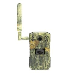 Medību kamera 4G PNI Hunting 250C цена и информация | Охотничьи принадлежности | 220.lv