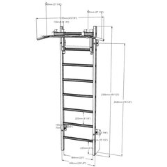 Деревянно-металлическая гимнастическая лестница BenchK 231W с деревянной перекладиной и аксессуарами цена и информация | Шведские стенки | 220.lv