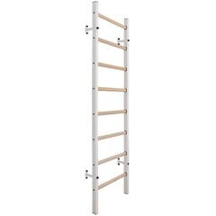Деревянно-металлическая гимнастическая лестница BenchK 210W с 4 ручками цена и информация | Шведские стенки | 220.lv
