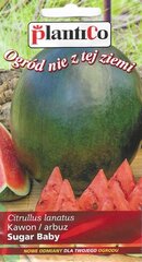 Семена арбуза Sugar Baby цена и информация | Семена овощей, ягод | 220.lv