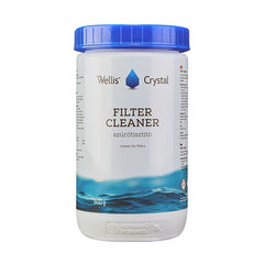 Filtra tīrīšanas granulas SPA vannām Filter Cleaner, Wellis, 500 g цена и информация | Химия для бассейнов | 220.lv