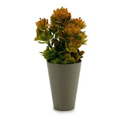 Декоративное растение Серый Пластик (10 x 22 x 10 cm) цена и информация | Вазоны | 220.lv
