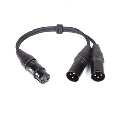 Master audio CY099 цена и информация | Адаптеры и USB разветвители | 220.lv