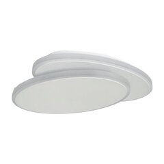 светодиодный потолочный светильник neil 14w 4200k d240 белый цена и информация | Монтируемые светильники, светодиодные панели | 220.lv