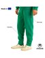 Bikses Buggy Pants Exquisite Line Kelly Green, Zaļš, unisex цена и информация | Sporta apģērbs vīriešiem | 220.lv