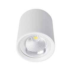 flcom led downlight surface mount 40w 230v 4000k 60° white цена и информация | Потолочные светильники | 220.lv