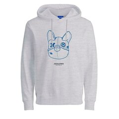 Vīriešu Sporta Krekls ar Kapuci JORPAL SWEAT HOOD FST Jack & Jones 2310015 Pelēks cena un informācija | Vīriešu jakas | 220.lv