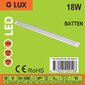 LED lampa G.LUX GR-LED-BATTEN-18W-600mm цена и информация | Griestu lampas | 220.lv