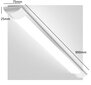 LED lampa G.LUX GR-LED-BATTEN-30W-900mm цена и информация | Griestu lampas | 220.lv