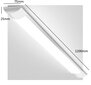 LED lampa G.LUX GR-LED-BATTEN-36W-1200mm cena un informācija | Griestu lampas | 220.lv