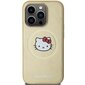 Hello Kitty priekš Apple iPhone 13 Pro, 13 cena un informācija | Telefonu vāciņi, maciņi | 220.lv